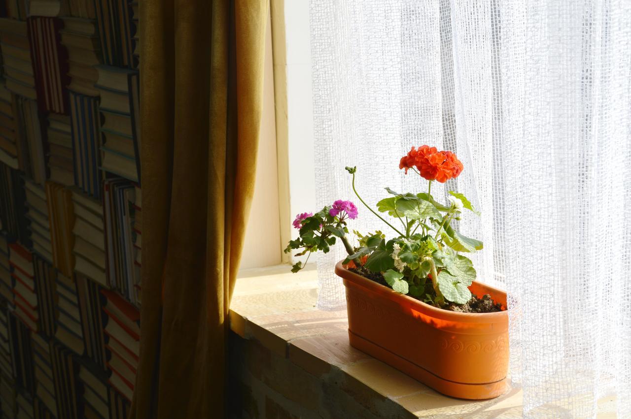 Art House Sweet Home 쉼켄트 외부 사진